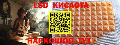a pvp Кингисепп