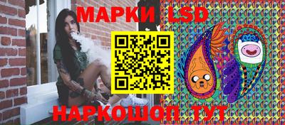 a pvp Кингисепп