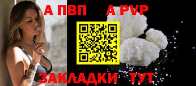 a pvp Кингисепп