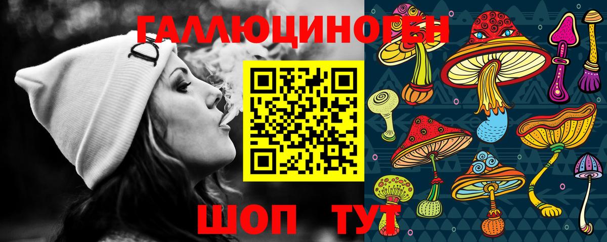 Ессентуки  Псилоцибиновые грибы GOLDEN TEACHER  Вход с VPN 